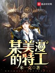 某美漫的特工 范闲