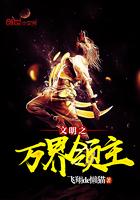 文明之万界领主主角介绍